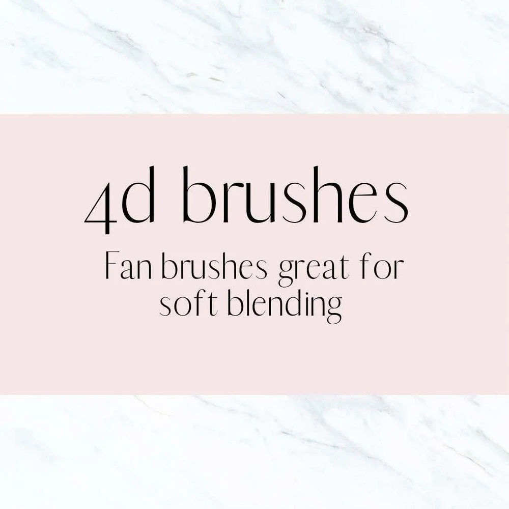 Siara Martin Beauty 4d/10 Fan Brush Eyeshadow Powder Blending Softening Synthet